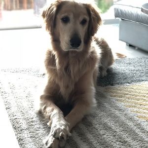 Meet your Posher, Eli